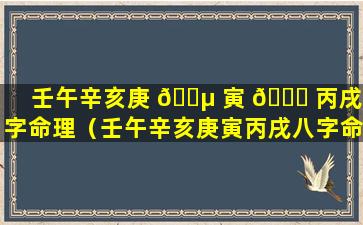 壬午辛亥庚 🌵 寅 🍀 丙戌八字命理（壬午辛亥庚寅丙戌八字命理详解）